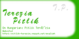 terezia pitlik business card